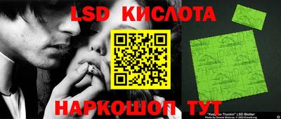 прущие грибы Краснодар