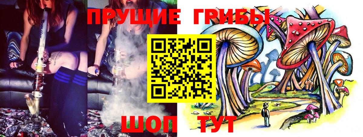 Южно-Сахалинск  Псилоцибиновые грибы Psilocybine cubensis  Вход с VPN 